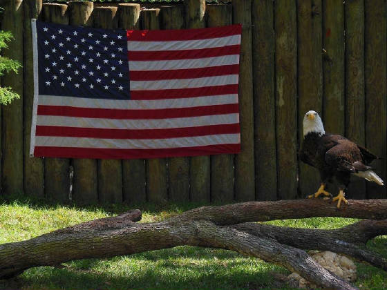 USMC/USMC1.jpg